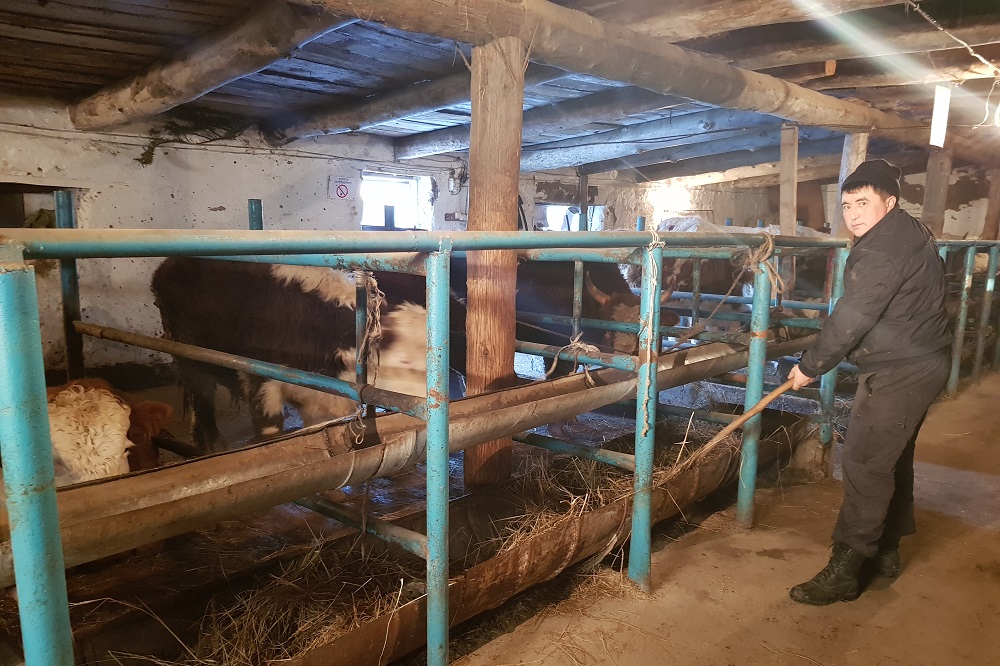 16 مال بورداقىلاۋ الاڭى بار ەلدى مەكەن