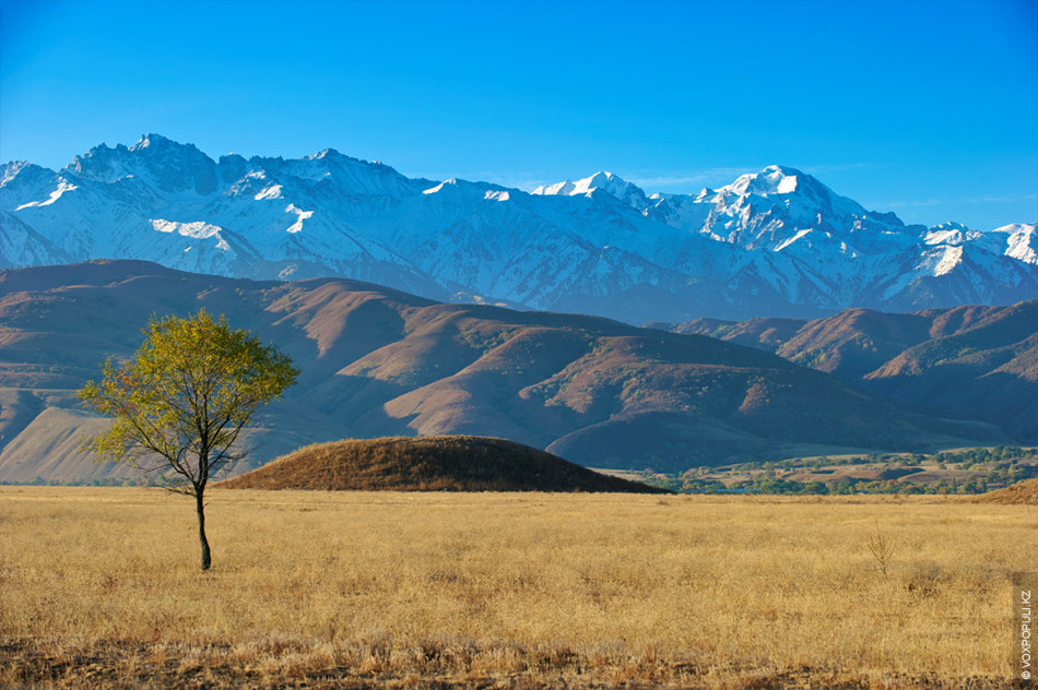ساق حانزاداسىنىڭ سۇيەگى قايدا ساقتالعان؟