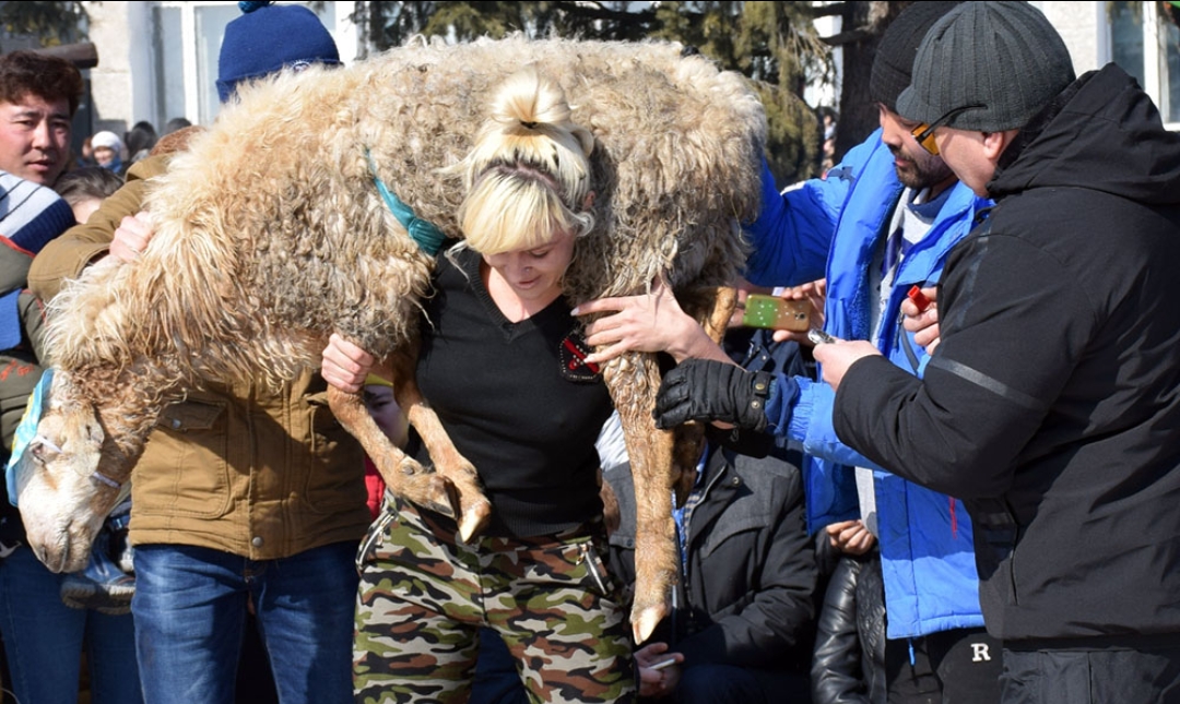 زىرياندىق بويجەتكەن قوشقاردى 29 رەت كوتەردى - شقو