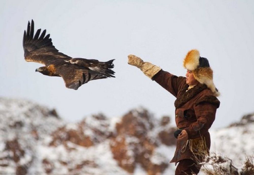 «بۇركىتشى» ەمەس «قۇسبەگى» دەيتىن بولدى...
