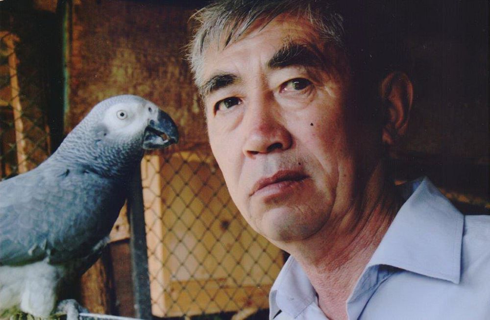 اۋىلداعى ورنيتولوگ