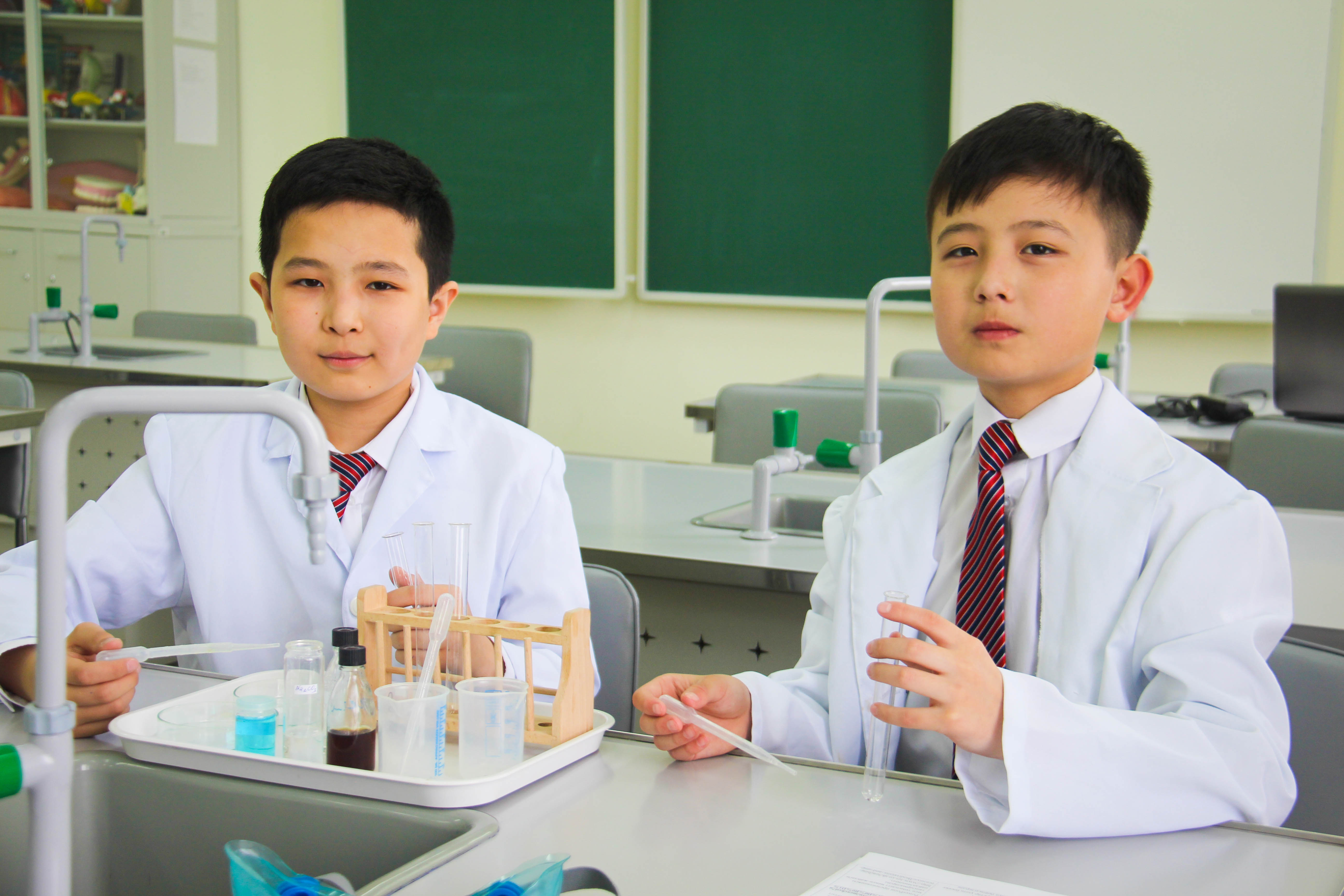 اتىراۋلىق وقۋشىلار باناننىڭ پايداسىن انىقتادى

