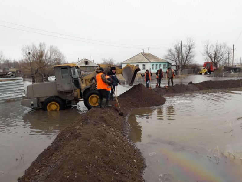 تاسقىنعا دايىندىق ءوز دەڭگەيىندە مە؟