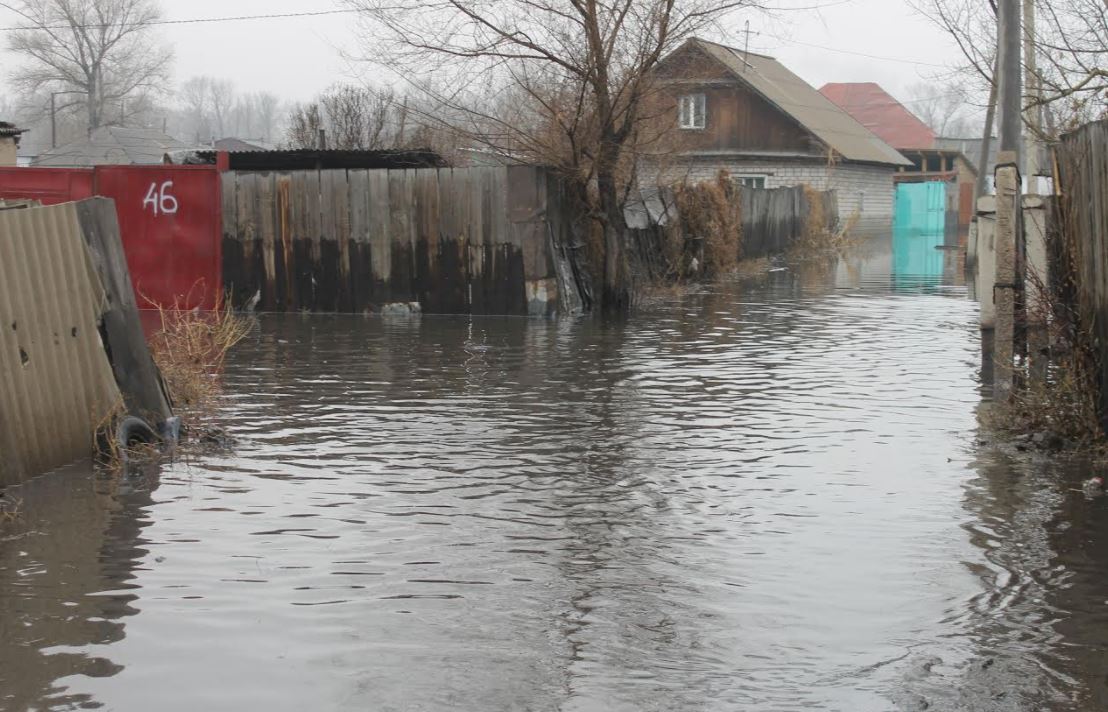 سەمەيدەگى پورتوۆايا كوشەسىنىڭ تۇرعىندارى سۋ استىندا قالدىق دەپ كومەك سۇراۋدا