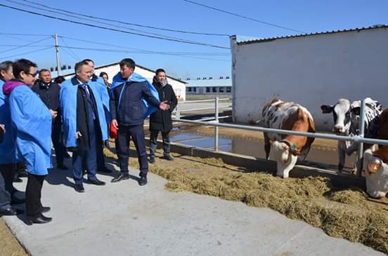 دەپۋتاتتار ۇشتوبە اۋىلىنداعى ءسۇت فەرماسىن ارالادى