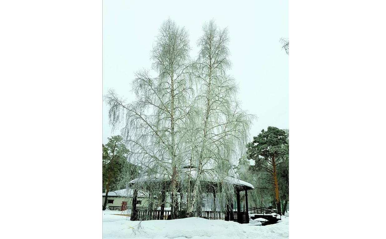 بۋرابايدىڭ اققايىڭدارى...