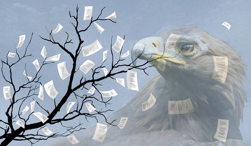 دۋلات يسابەكوۆ. قۇنارلى ءتىلىمىزدى قولدان شۇبارلامايىق