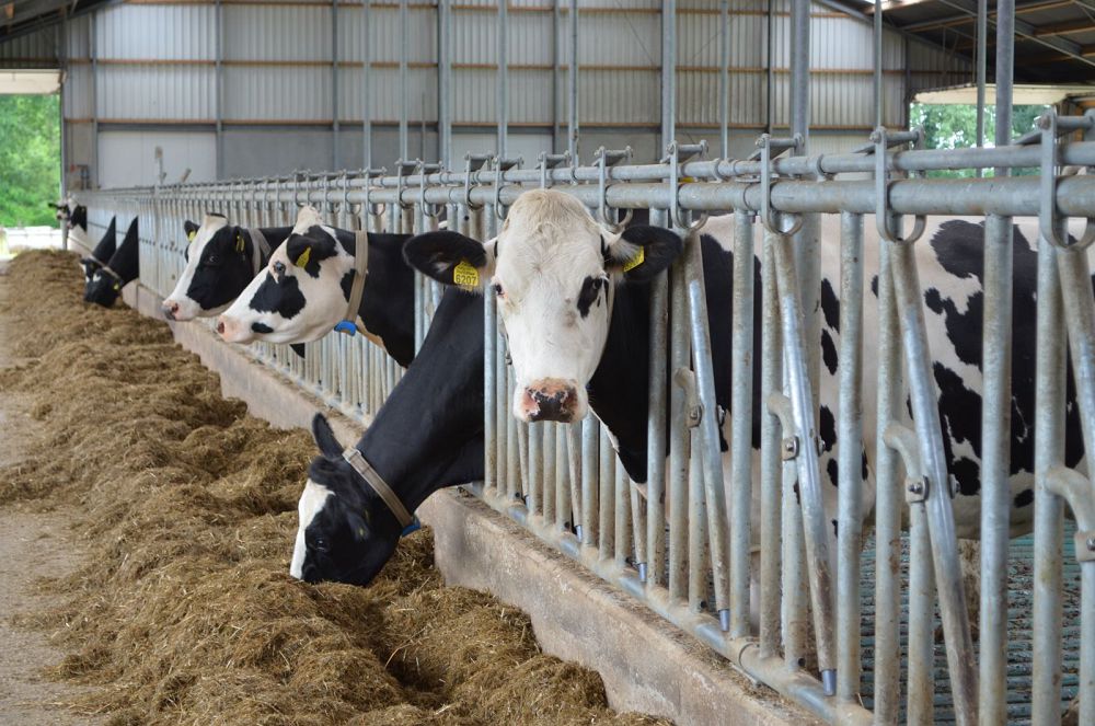 اۋىلدى كووپەراتيۆتەندىرۋدە اسىعىستىققا جول بەرىلمەسە يگى