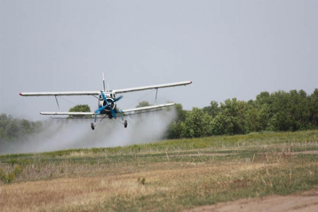 وڭتۇستىكتە شەگىرتكەمەن كۇرەس باستالدى