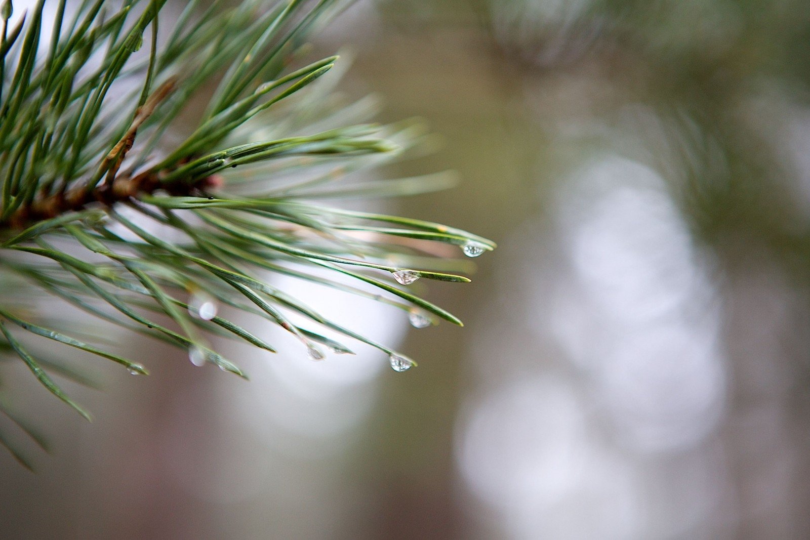 ەكى وڭىردە اۋا رايىنا بايلانىستى ەسكەرتۋ جاريالاندى