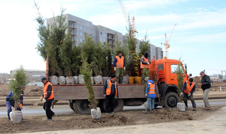 ورالدا جالپىحالىقتىق سەنبىلىك باستالدى
