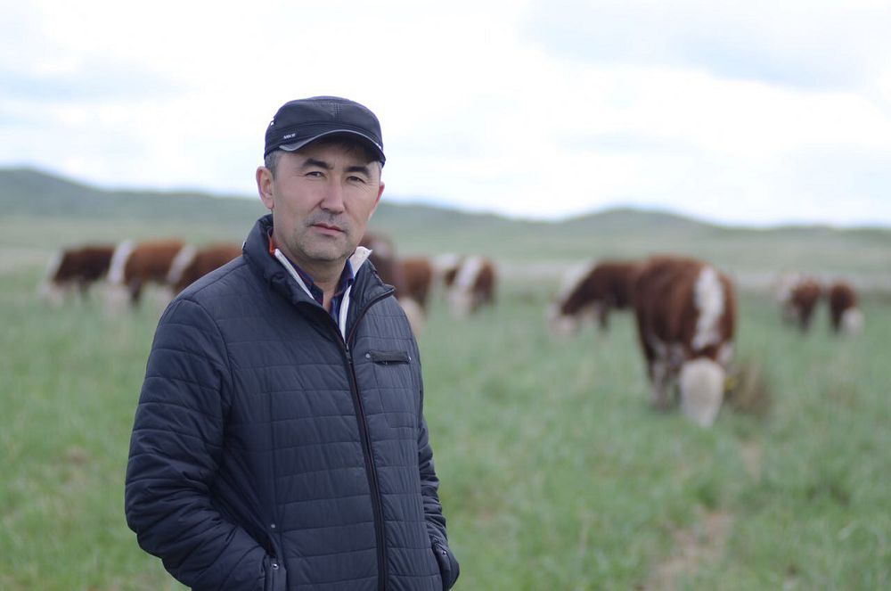 شالابايدا شارۋاسىن شالقىتقان كاسىپكەر