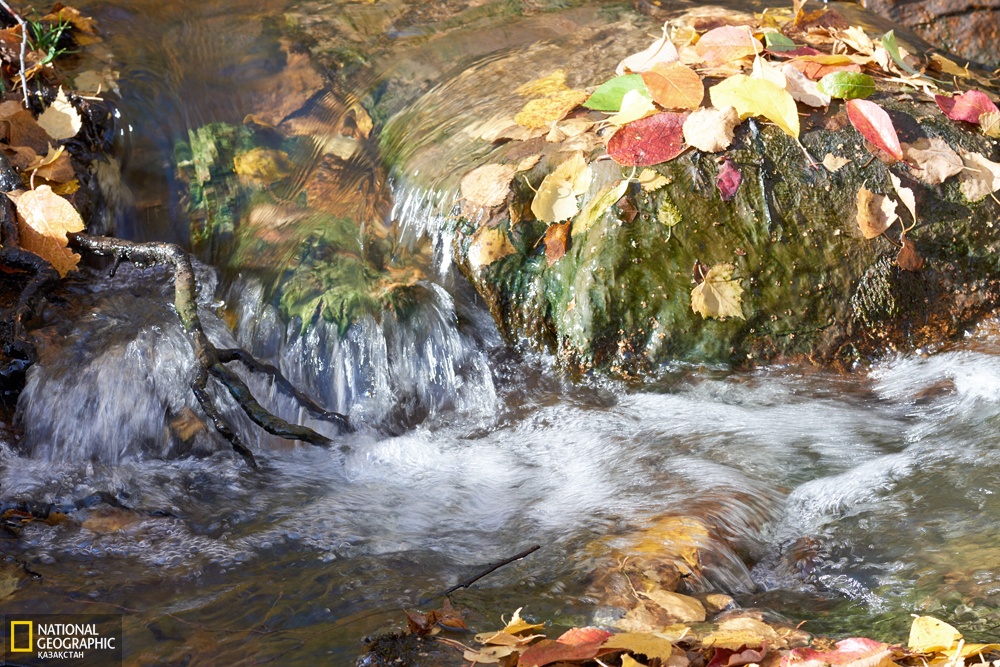 بالشىعى, سۋى ەم «قارابولات اۋليە»
