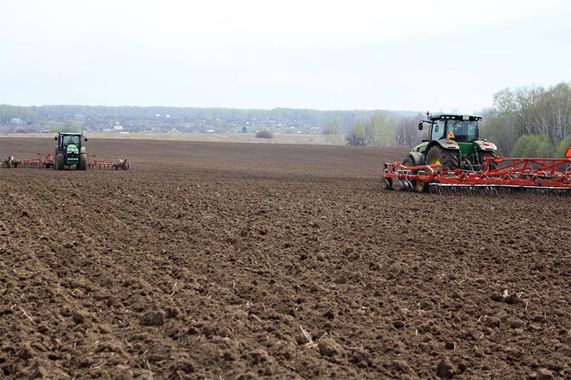 كوكتەمگى ەگىس. وڭىرلەردەگى جۇمىس قارقىنى قالاي؟
