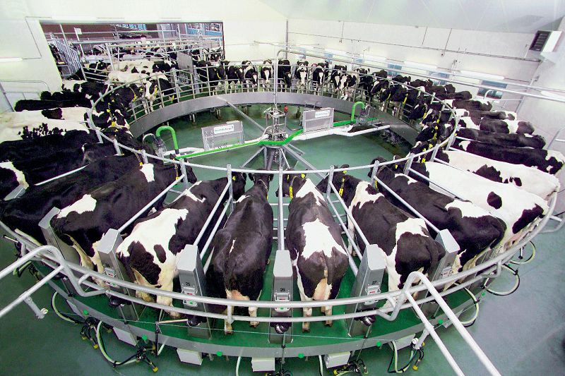 مال شارۋاشىلىعىنىڭ كەلەشەگى كووپەراتسيادا 