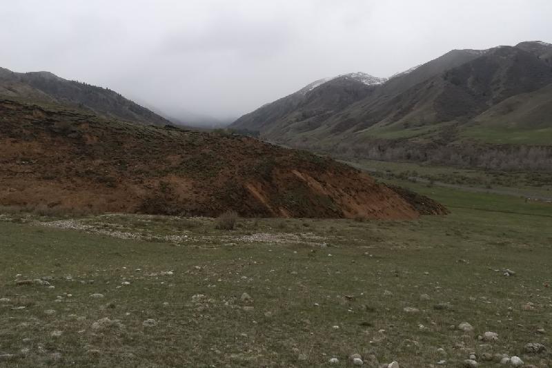 الماتى وبلىسىندا تاۋ جىنىستارىنىڭ قوزعالۋى تىركەلدى