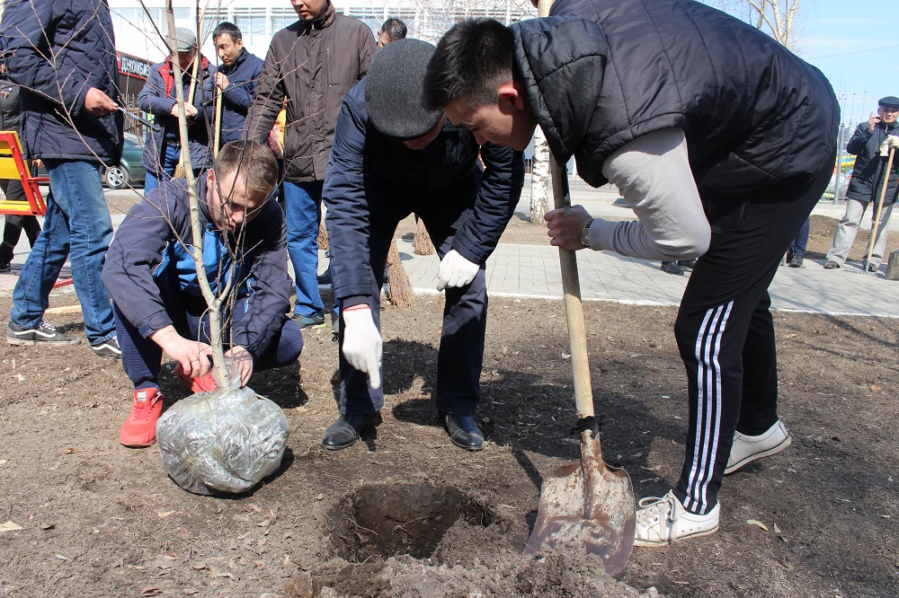 قوستانايدا مەملەكەتتىك قىزمەت اللەياسى بولادى