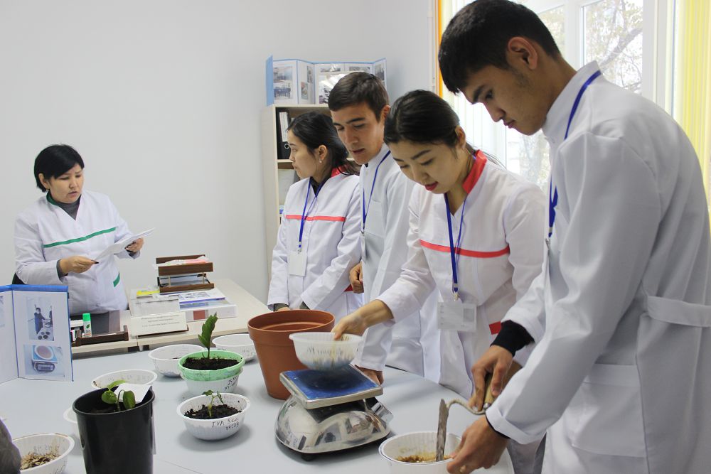 عىلىم نارىققا بەيىمدەلۋى ءتيىس