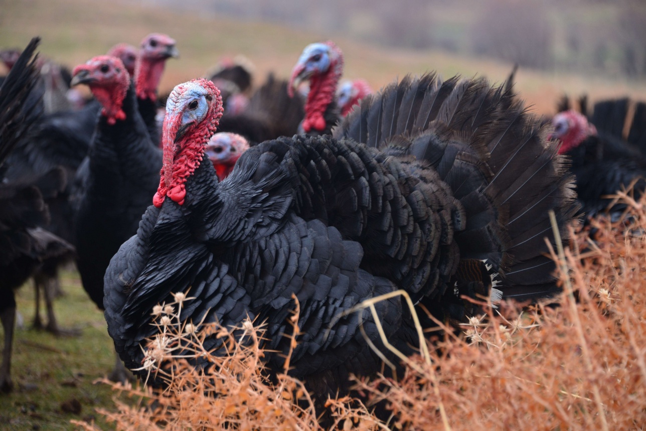 كاسىپكەر بەكسەيىت سارسەكباەۆ