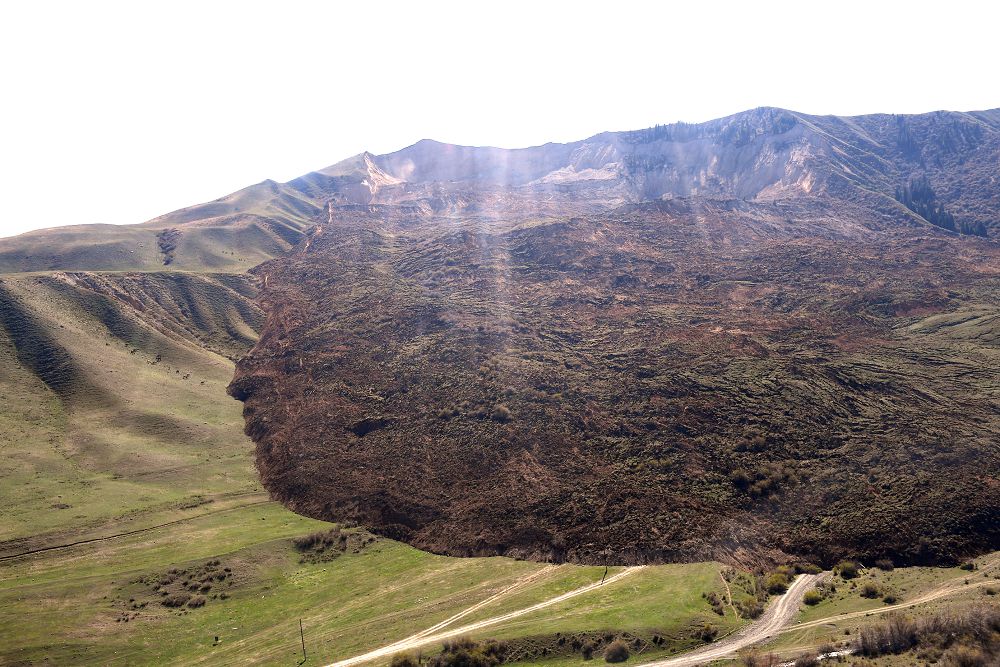 تاۋ نەگە كوشتى؟