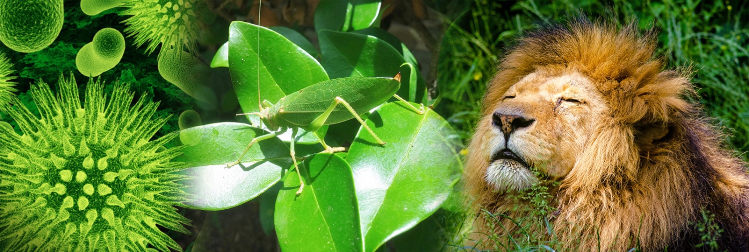بيولوگيادان ۇبت سۇراقتارى (24.04.2018)