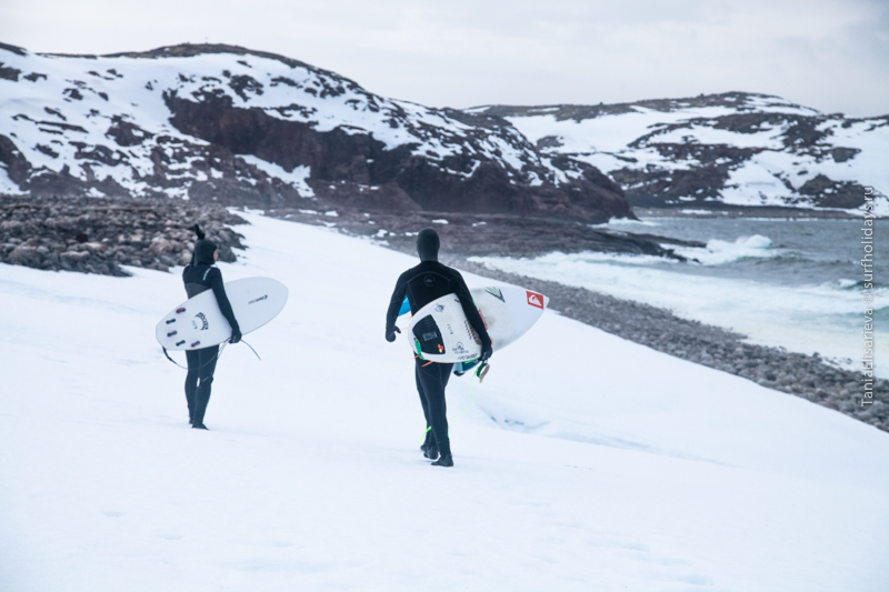 ەكسپەديتسيا باعىتى – مۇزدى اركتيكا