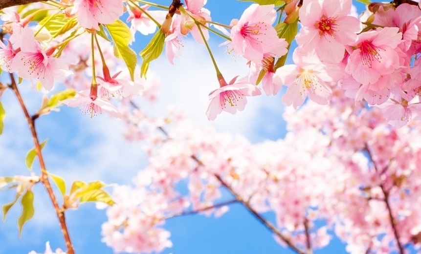 استانا اكىمى ەلوردا تۇرعىندارى مەن قوناقتارىن مەرەكەمەن قۇتتىقتادى