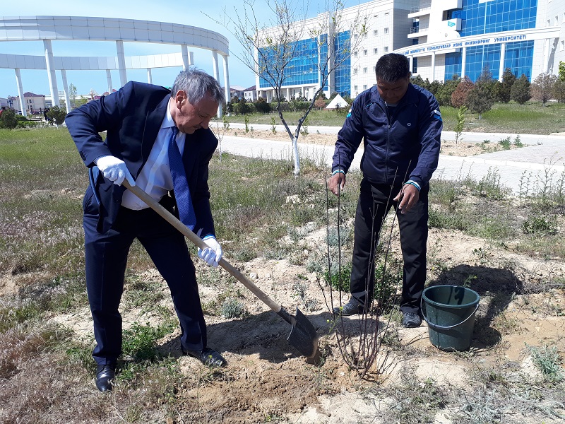 اقتاۋدا كاسپي ايماقتىق باعدارلاماسى جاساقتالادى