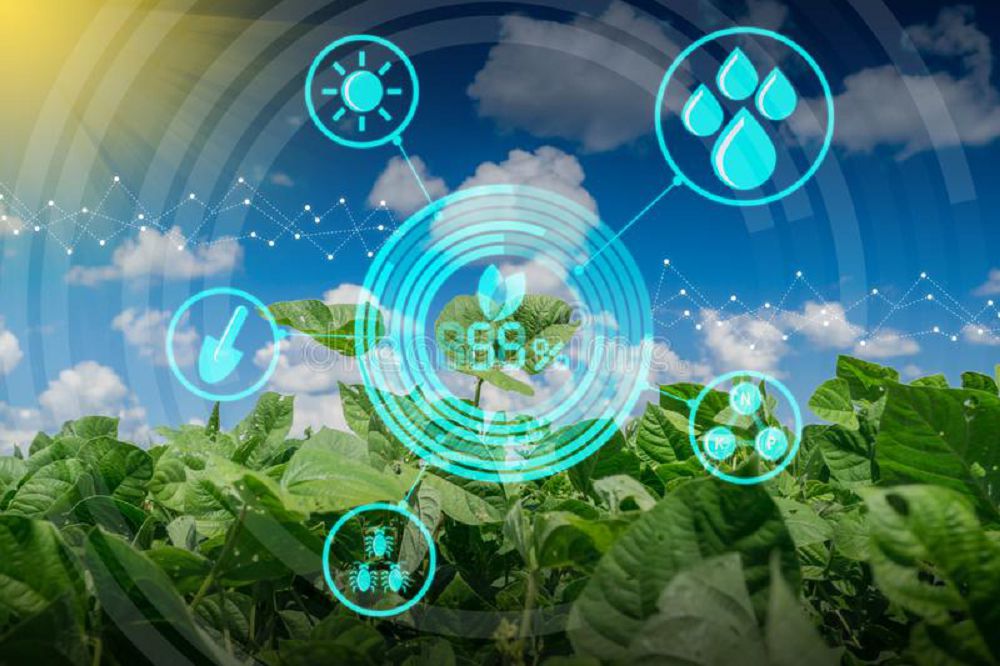 وقو-دا بالامالى قۋات كوزدەرى كوبەيۋدە
