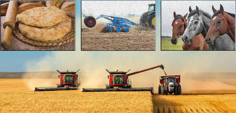 جاقسى ءومىر ءسۇرۋ – ءار اۋىلدىڭ قالاۋى