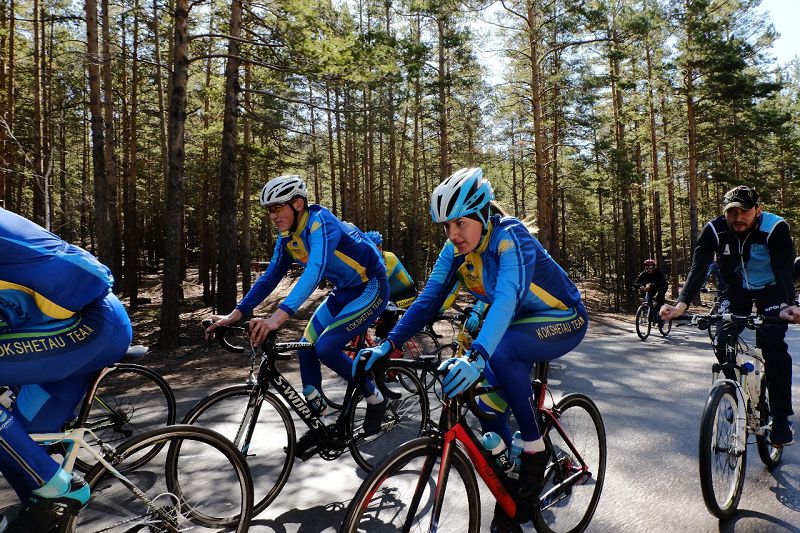 بۋرابايدا ۆەلوسيپەد تەبۋ كەزەڭى باستالدى