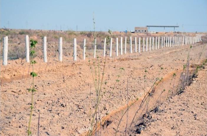 قىزىلوردادا ەكى كەنت بىرىگەدى