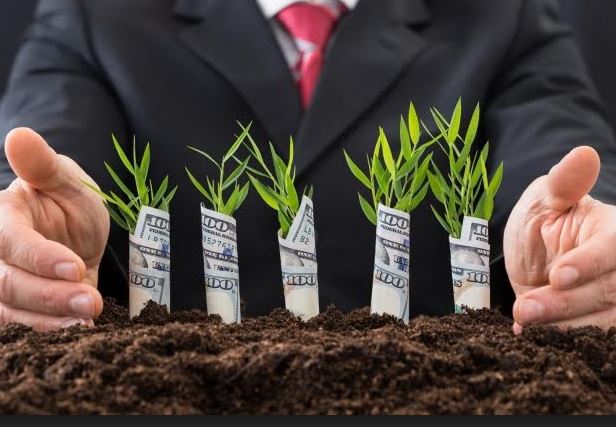 قىزىلوردا وبلىسىندا ەكسپورت كولەمى ارتادى