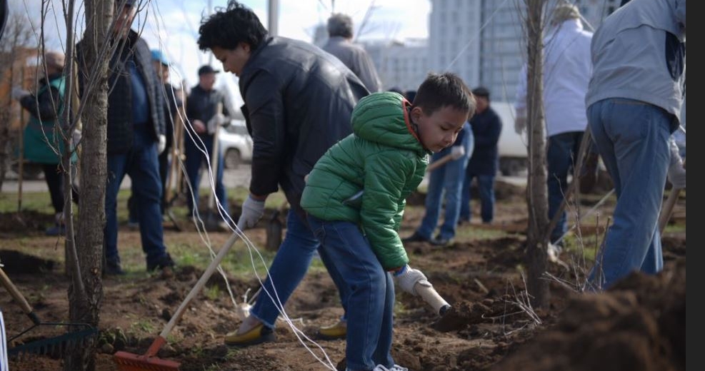 استانادا ءبىر اي ىشىندە 25 مىڭ كوشەت وتىرعىزىلدى
