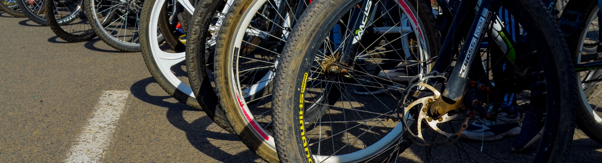 ەلوردادا كولىك جۇرگىزۋشىلەرىنىڭ ۆەلوسيپەدشىلەردى سوعىپ كەتۋى جيىلەدى