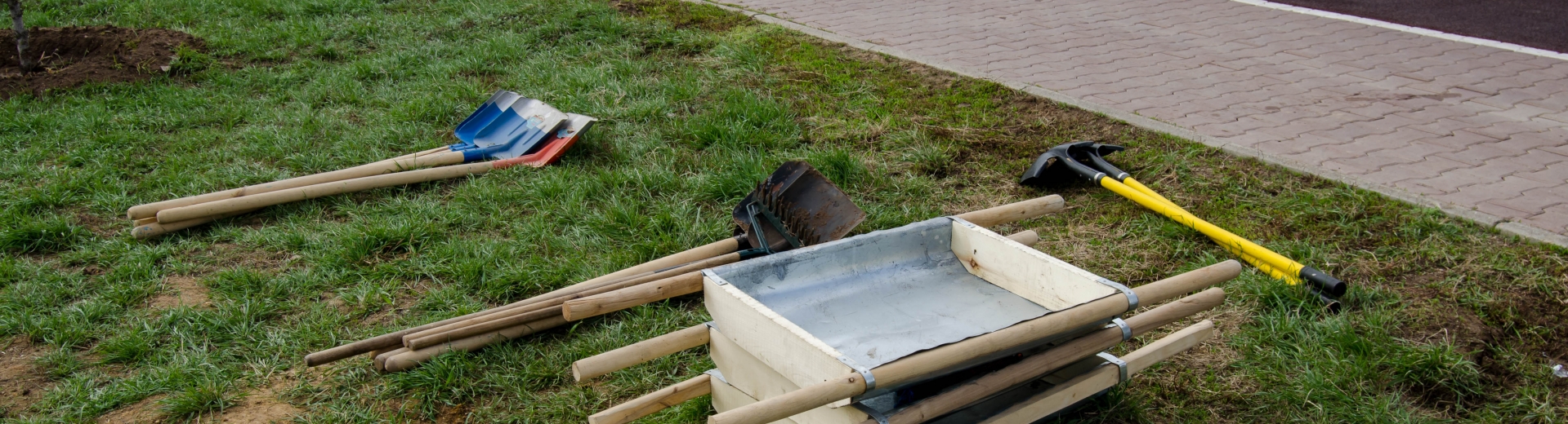 استاناداعى سەنبىلىك. كەڭ اۋقىمدى شارانىڭ قورىتىندىسى قانداي؟