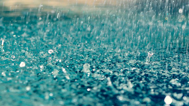 ەلىمىزدىڭ كەي وڭىرلەرىندە بۇرشاق جاۋادى