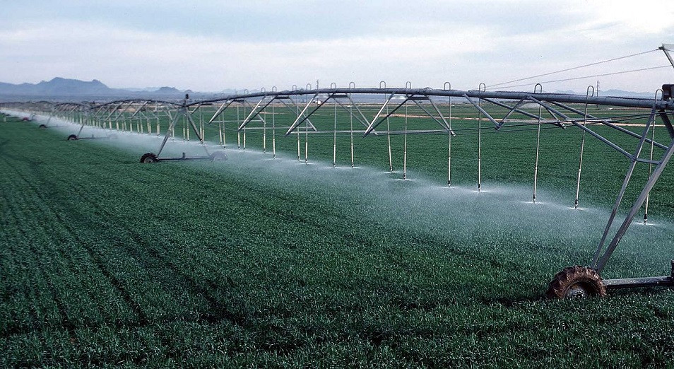 سۋارمالى جەر شارۋانىڭ ىرىسىن ارتتىرادى