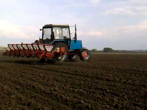 قوستانايدا بۇگىن جاپپاي ءدان سەبۋ باستالدى