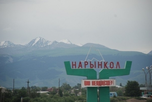 نارىنقولدىڭ كارتوبى نارىققا جول تارتادى