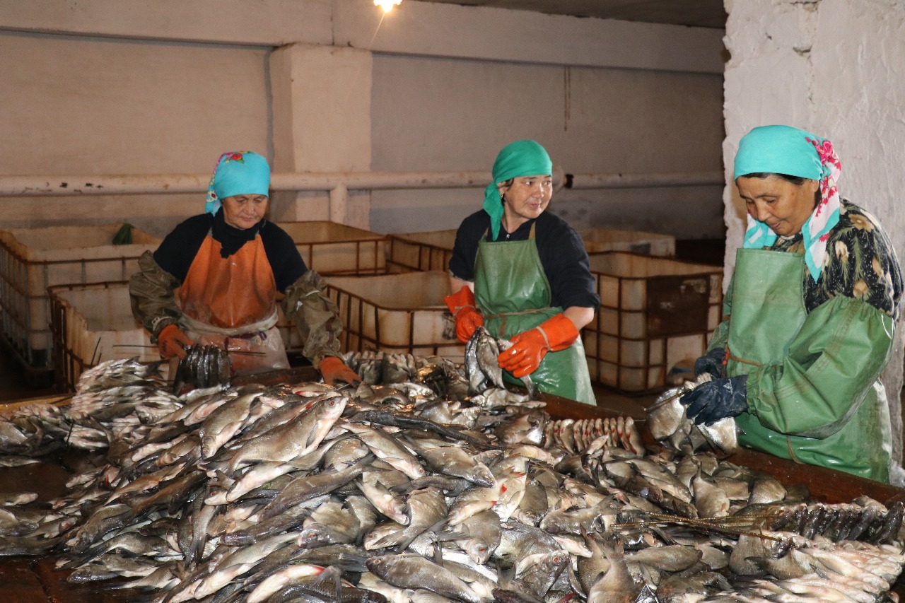 نۇرلان نوعاەۆ: بيزنەس سۋبەكتىلەرىنە مەملەكەتتىڭ قولداۋى ايماقتىڭ ەكسپورتتىق الەۋەتىن ارتتىرۋعا سەپتىگىن تيگىزەدى