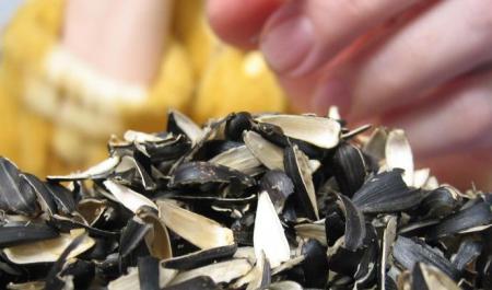 شەكىلدەۋىك شاققاندارعا ايىپپۇل سالىنادى