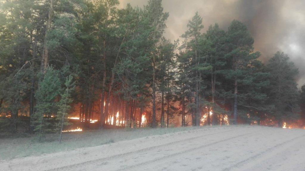 سەمەيدەگى قىزىلكاردوندا ورمان ءورتى باسەڭسىدى