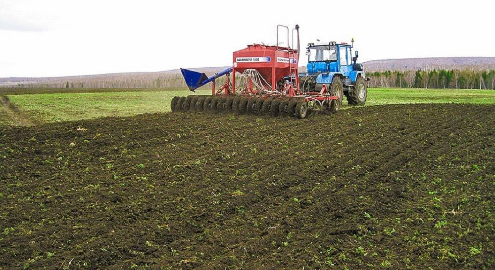 سولتۇستىك قازاقستان ديقاندارى تۇقىم سەبۋدى جالعاستىرۋدا