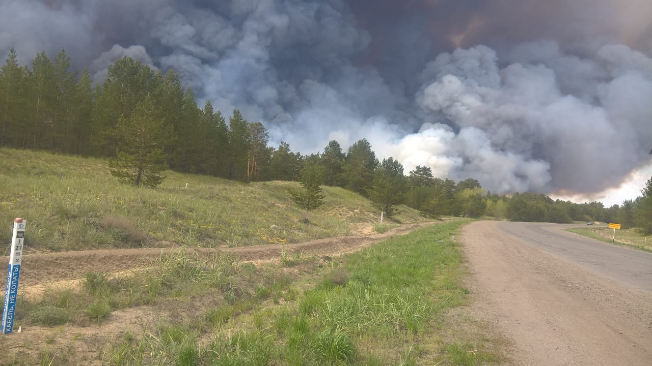 سەمەيدەگى ورماننىڭ ورتەنۋى ادام قولىمەن جاسالعان ءىس بولۋى مۇمكىن