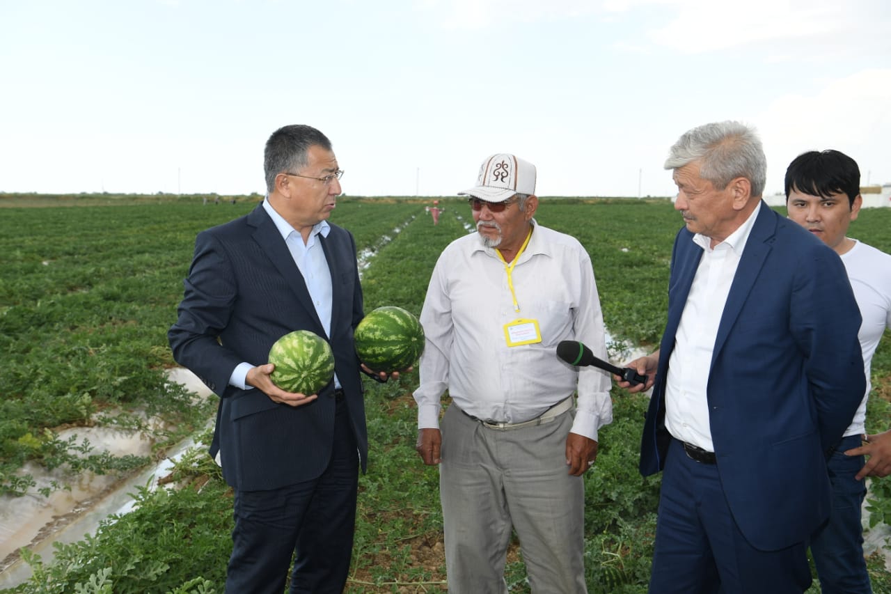 وڭتۇستىكتە 51,5 گەكتار جەرگە باقشا داقىلدارى ەگىلدى