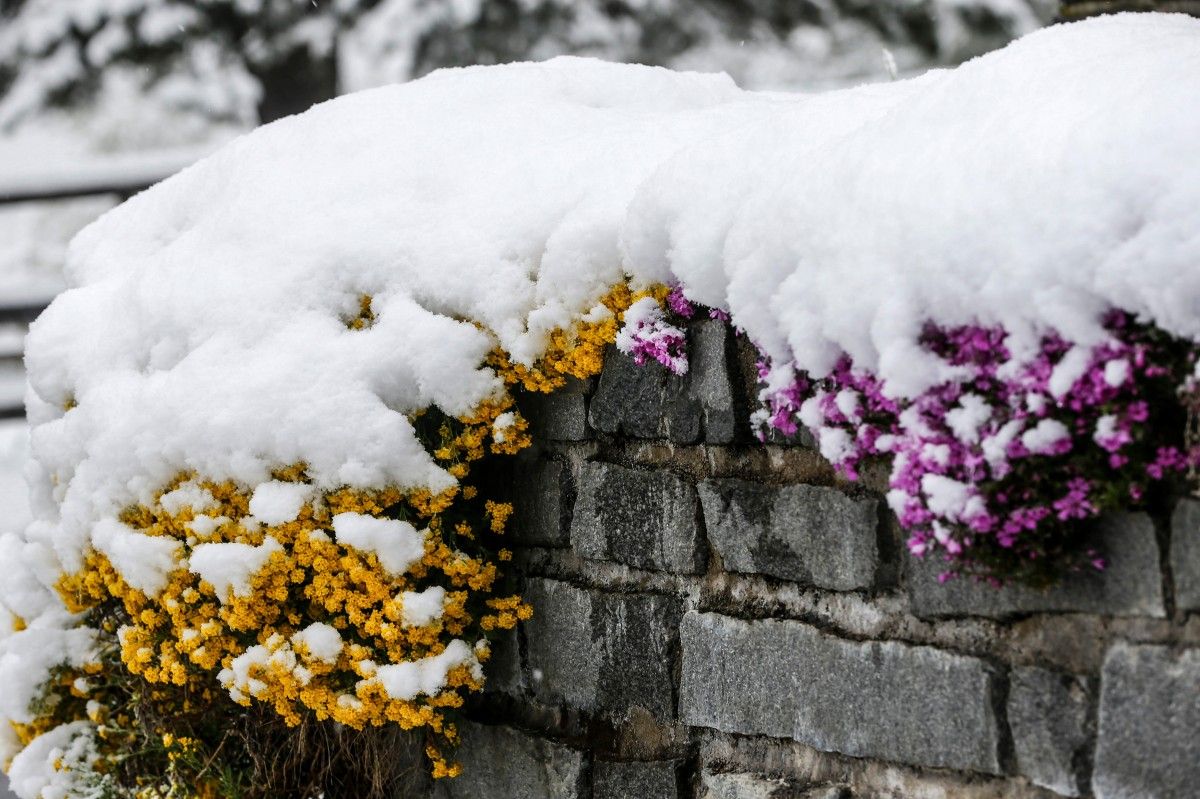 اقمولا وبلىسىندا قار جاۋى ىقتيمال