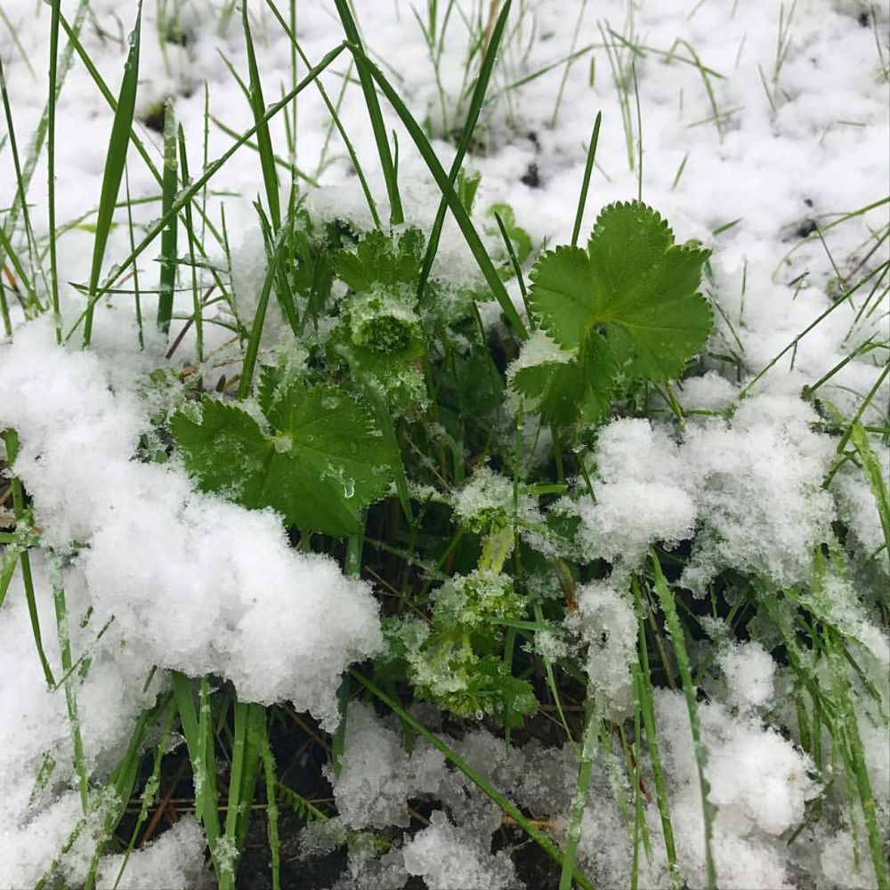 استانانىڭ اۋا رايى نەگە وزگەردى؟