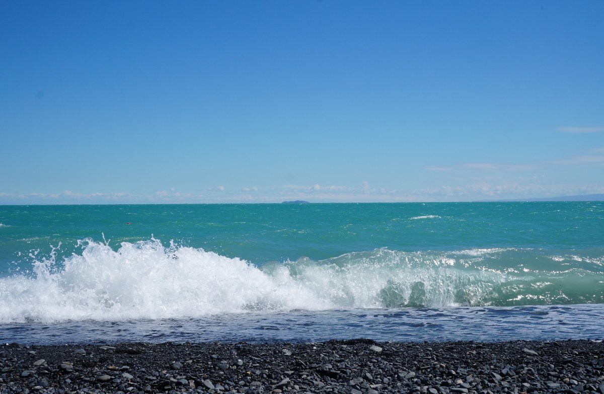 الاكول تۋريستەردى قابىلداۋعا دايىن با؟