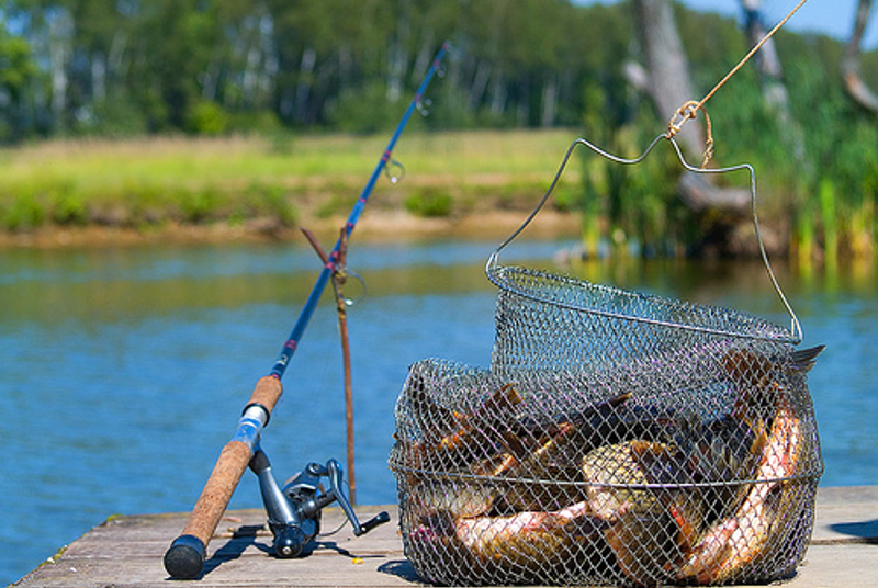 ەر­تىس وزەنىنىڭ سۋ قويمالارىندا با­لىق اۋلاۋعا تىيىم سالىندى
